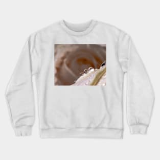 Dew drops on white rose Crewneck Sweatshirt